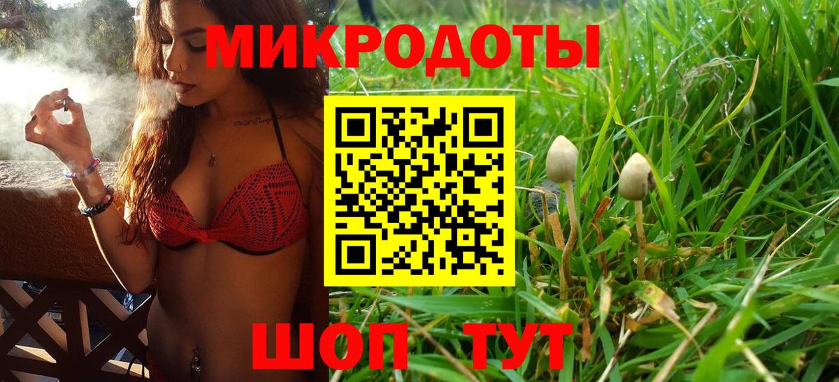 Псилоцибиновые грибы Magic Shrooms  Вход с VPN  Псилоцибиновые грибы MAGIC MUSHROOMS  Чусовой 